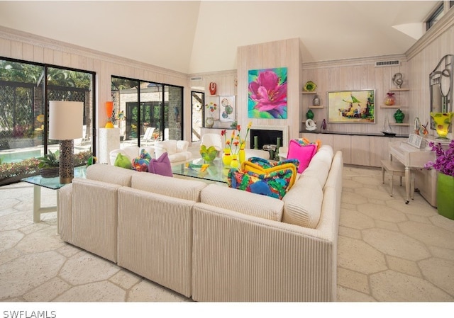 living room featuring high vaulted ceiling