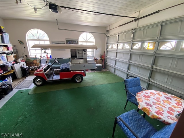 garage with a garage door opener