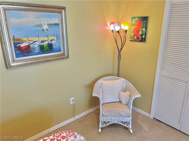 sitting room with carpet