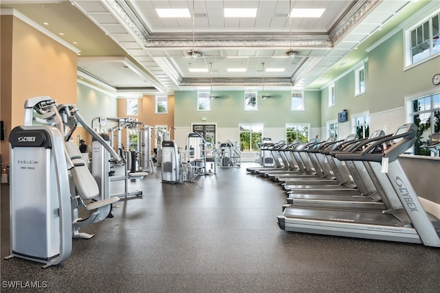 workout area with crown molding and a high ceiling