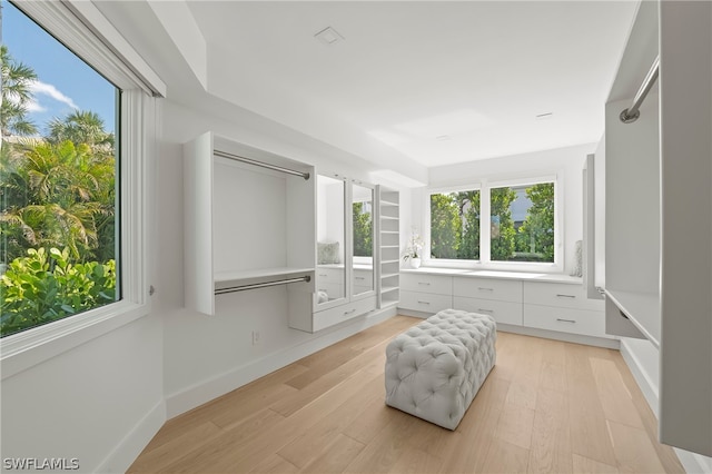 sitting room featuring light wood-type flooring