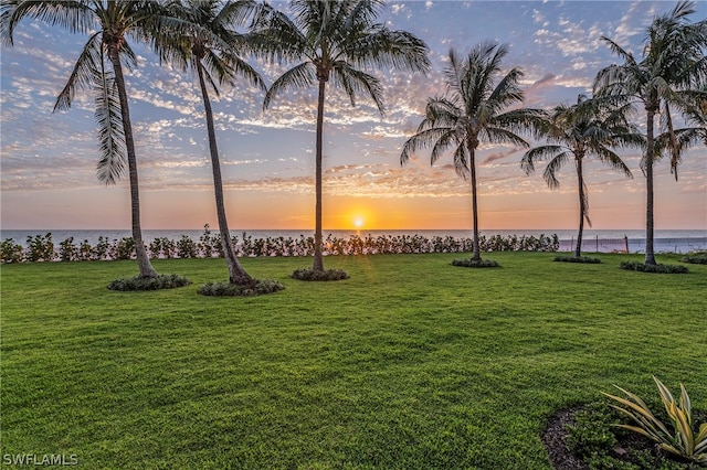 yard at dusk with a water view