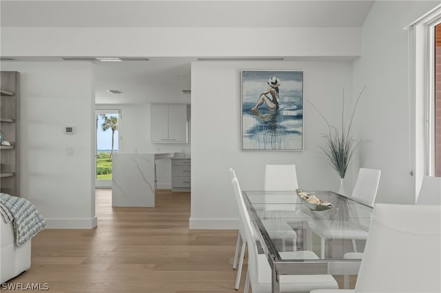 dining room with light hardwood / wood-style flooring