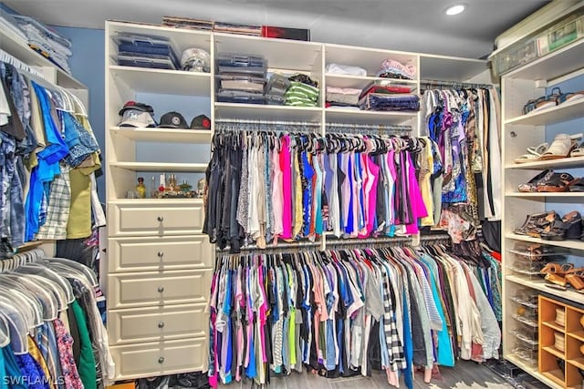 view of spacious closet