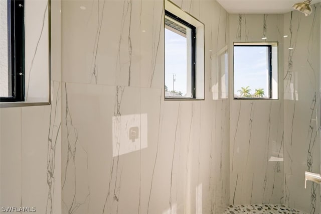 bathroom with plenty of natural light