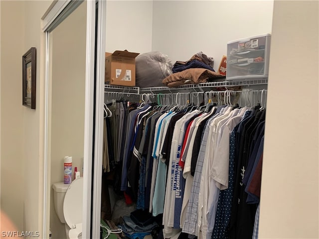 view of walk in closet