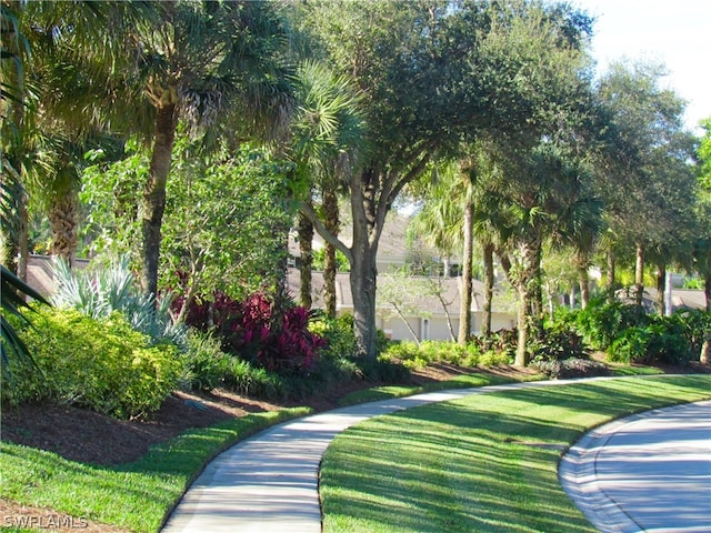 view of property's community with a lawn