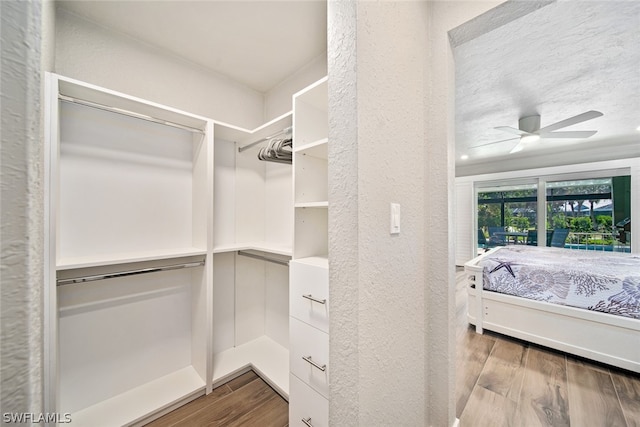 walk in closet featuring hardwood / wood-style floors and ceiling fan