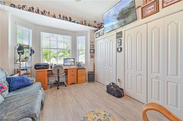 office area featuring light wood-style floors and a wealth of natural light