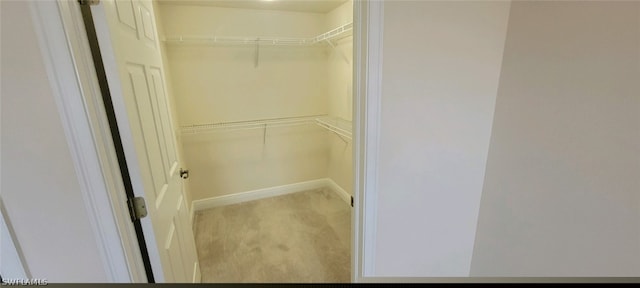 walk in closet with carpet