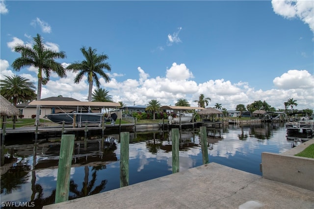 dock area with a water view