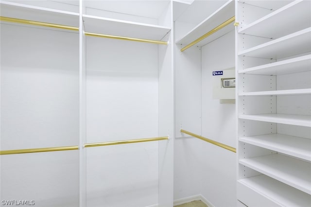 view of walk in closet