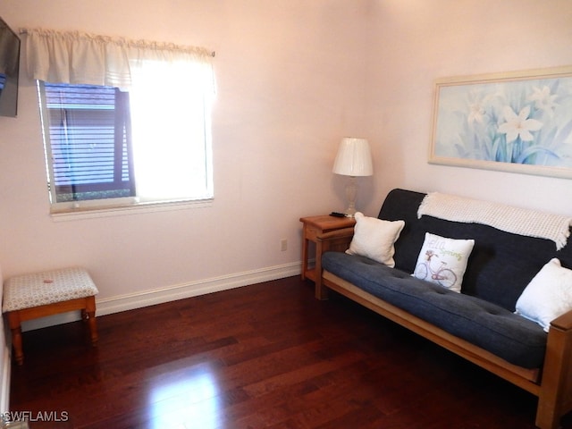 living area featuring dark hardwood / wood-style floors