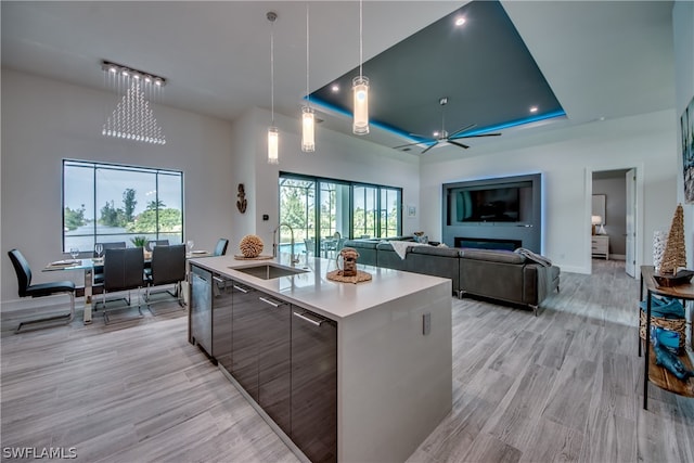 kitchen featuring a raised ceiling, sink, light hardwood / wood-style floors, and an island with sink