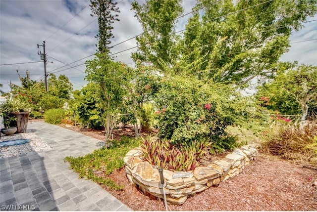 view of yard with a patio area