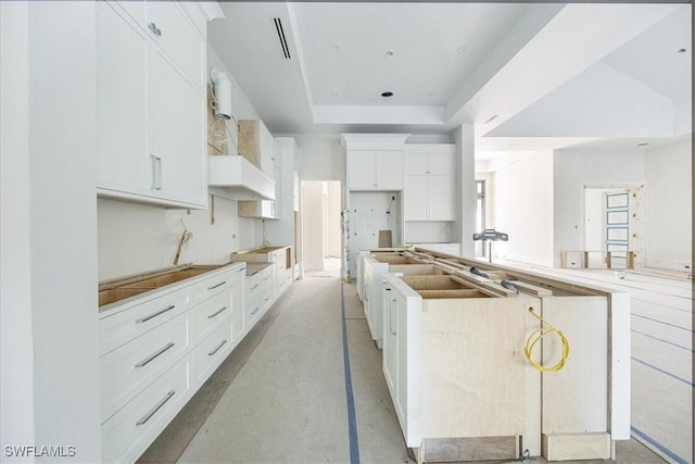 kitchen with a tray ceiling, sink, and white cabinets