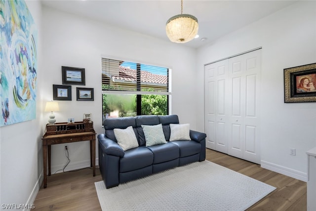 living room featuring wood-type flooring