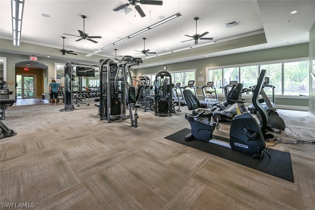 gym featuring light carpet, ceiling fan, and a raised ceiling