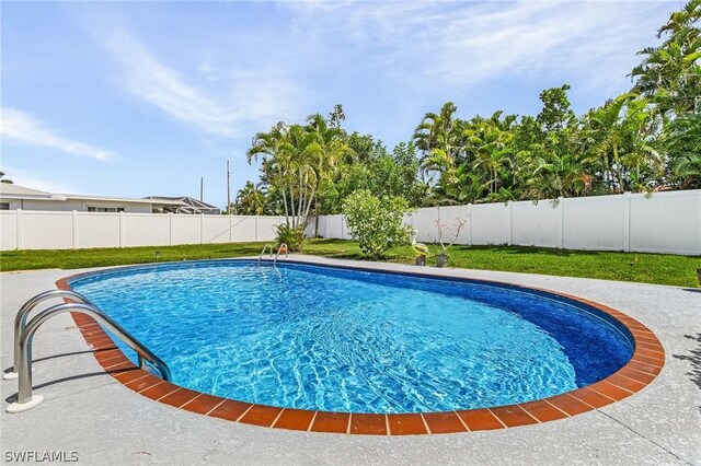 view of swimming pool