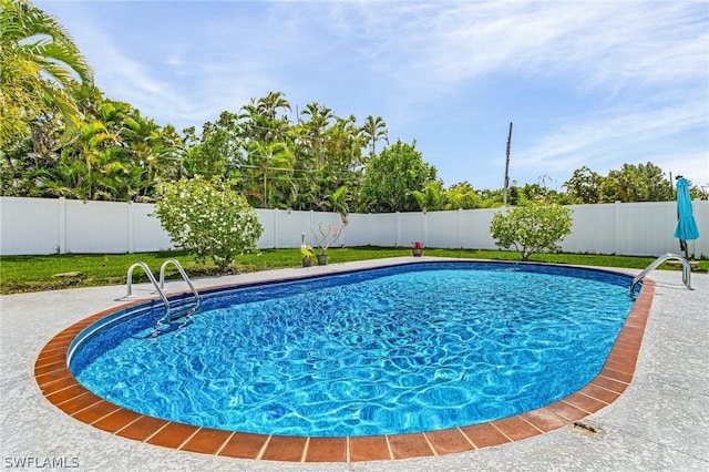 view of swimming pool