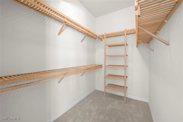 spacious closet featuring light carpet