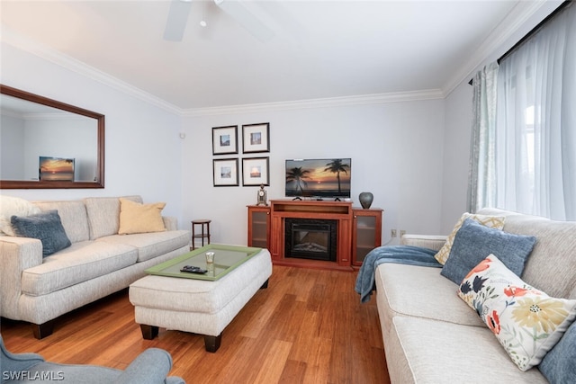 living room featuring hardwood / wood-style floors and ornamental molding