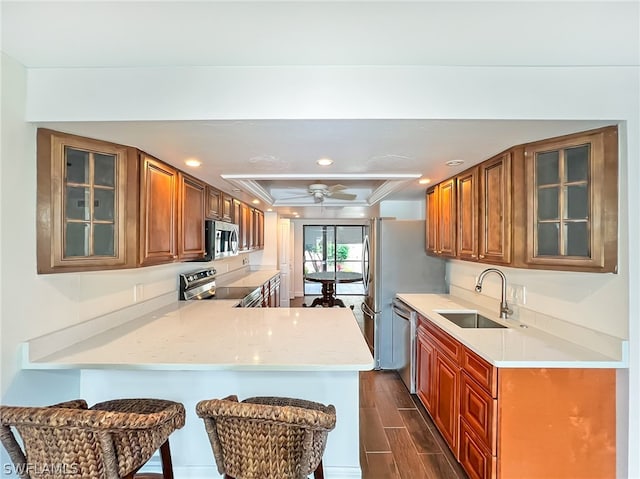 kitchen featuring kitchen peninsula, sink, ceiling fan, stainless steel appliances, and a raised ceiling