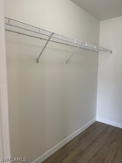 walk in closet featuring dark hardwood / wood-style flooring