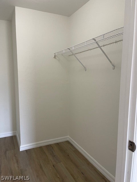 walk in closet with dark hardwood / wood-style flooring