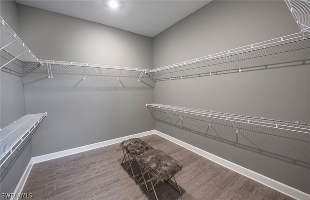 spacious closet with wood-type flooring