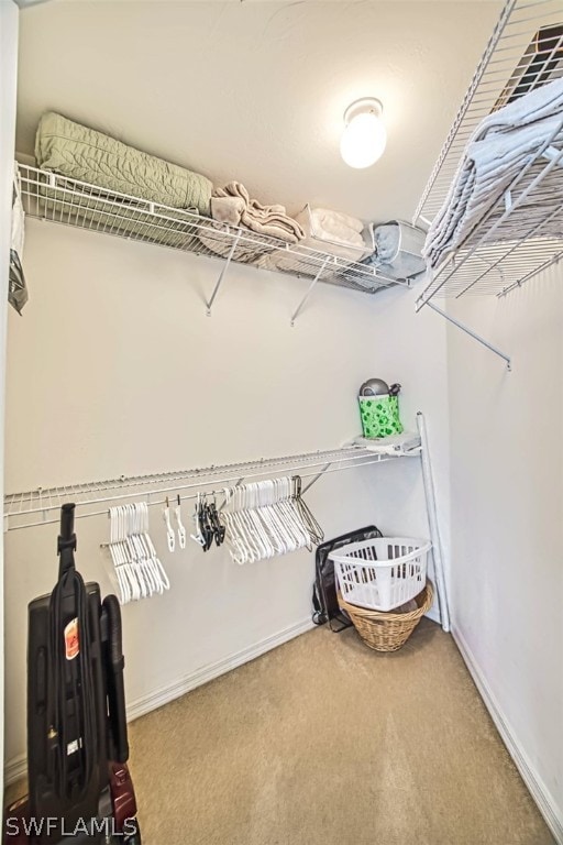 walk in closet featuring carpet flooring