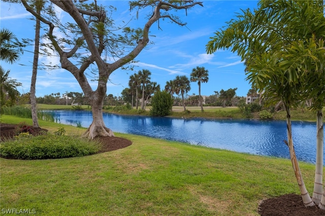 view of water feature