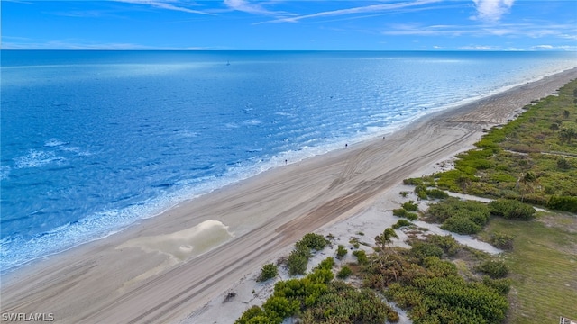 property view of water featuring a view of the beach