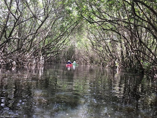 view of nature featuring a water view