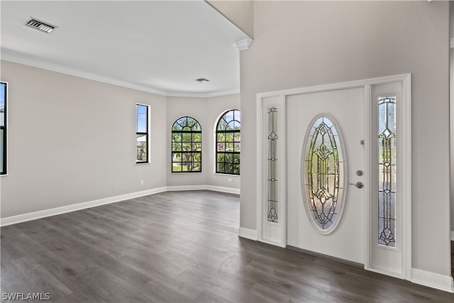 foyer featuring a wealth of natural light, ornamental molding, and dark wood-type flooring