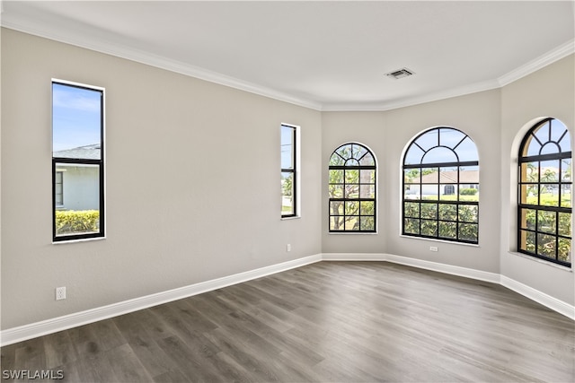 empty room featuring plenty of natural light and dark wood-type flooring