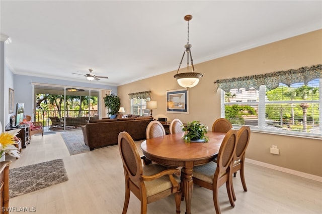 dining space with ceiling fan, light wood-type flooring, and crown molding