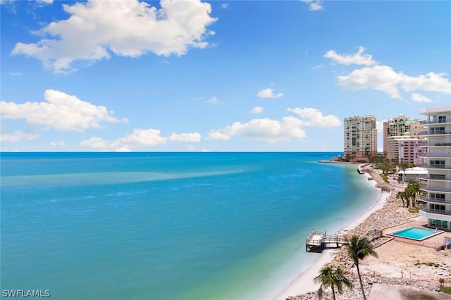 water view featuring a beach view