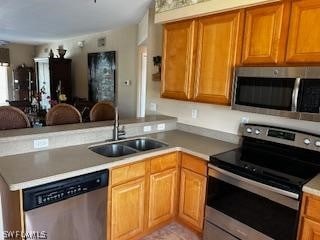 kitchen with kitchen peninsula, appliances with stainless steel finishes, and sink