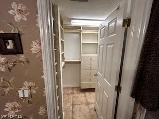 view of walk in closet