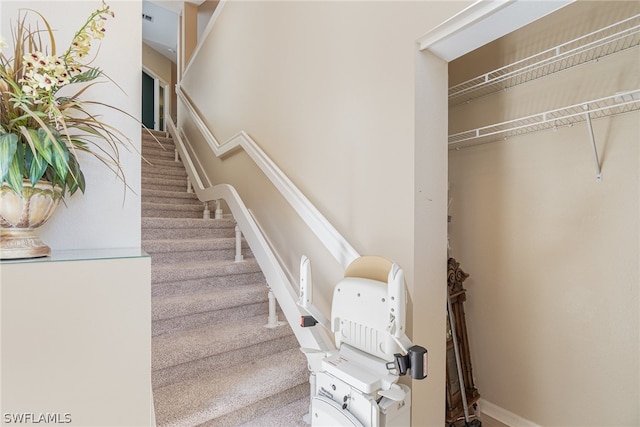 staircase with carpet flooring