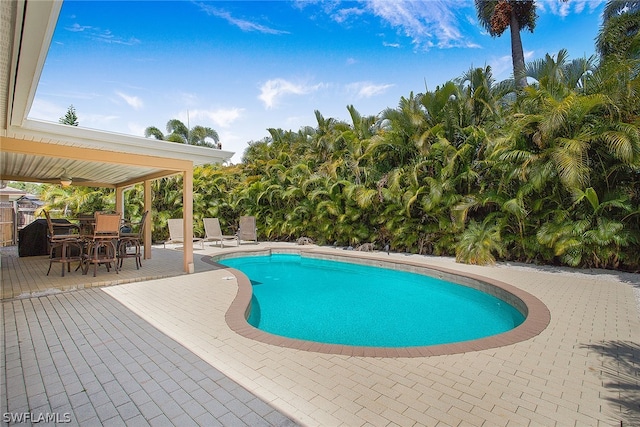 view of swimming pool featuring a patio area and ceiling fan