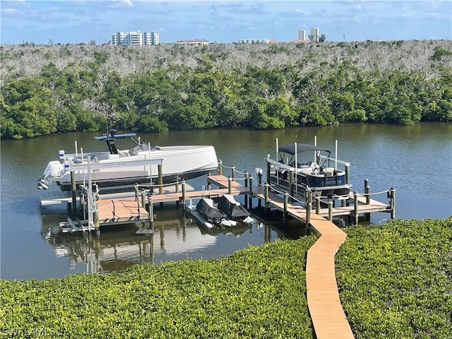 dock area with a water view