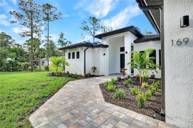 property entrance featuring a patio and a yard