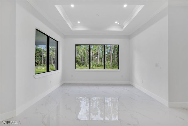 empty room featuring a raised ceiling, ornamental molding, and a healthy amount of sunlight