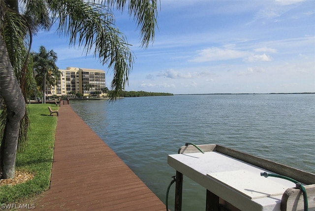 dock area with a water view