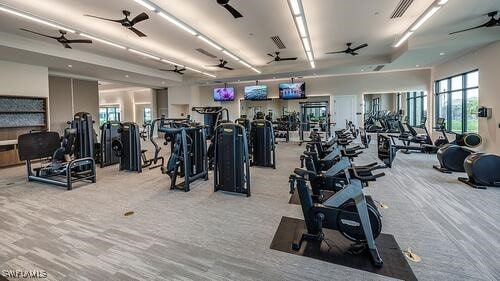 exercise room featuring light colored carpet