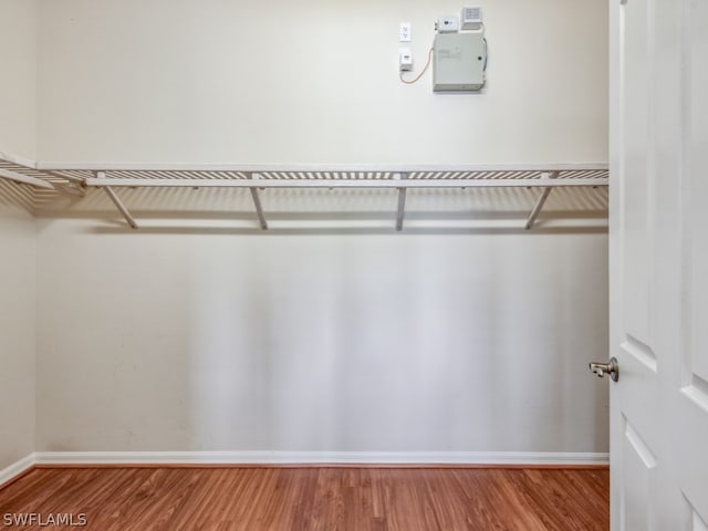 walk in closet with wood-type flooring