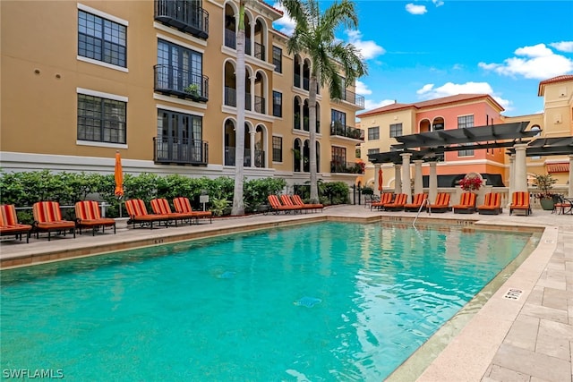 view of pool featuring a patio area and a pergola