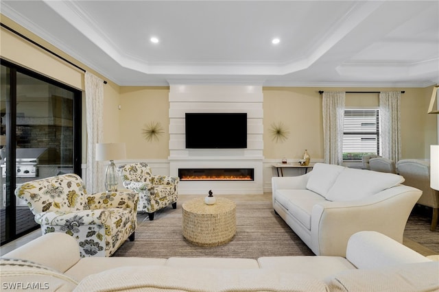 living room with a large fireplace, a raised ceiling, and ornamental molding